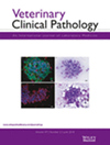 VETERINARY CLINICAL PATHOLOGY雜志封面